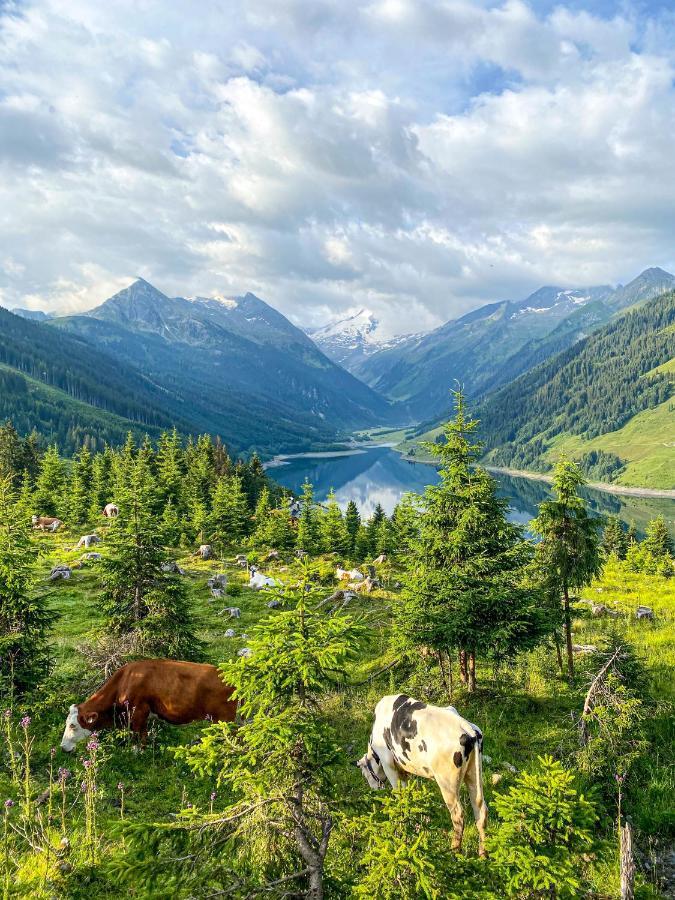Schmezlhof Lejlighed Zell am Ziller Eksteriør billede